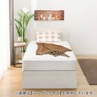 収納付きベッドフレーム ダブル フラットタイプ (NS-001 DR31 引き出し付き 深型 すのこ WW) 5枚目画像