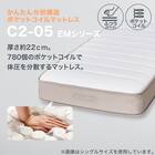 クイーンマットレス(Nスリープ C2-05 EM) 2枚目画像