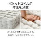 クイーンマットレス(Nスリープ C2-05 EM) 4枚目画像