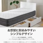 収納付きベッドフレーム クイーン フラットタイプ (NS-001 DR31 引き出し付き 深型 床板 MBR) 3枚目画像