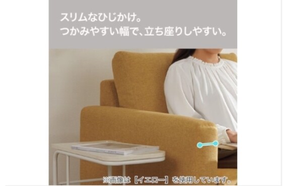 1人掛けソファ 布張り (ミディアムタイプ/ロータイププラスチック脚 