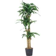 玄関 インテリア ニトリネット 公式 家具 インテリア通販