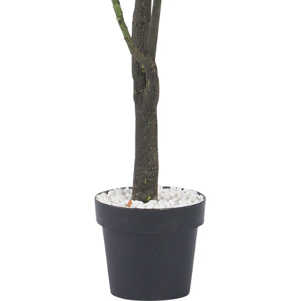 低価格で ニトリのパキラ 造花 180センチ 観葉植物 Www Fleurdujour Fr