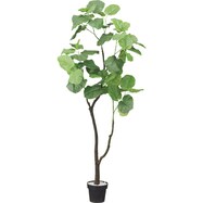 フェイクグリーン インテリアグリーン通販 ニトリネット 公式 家具 インテリア通販