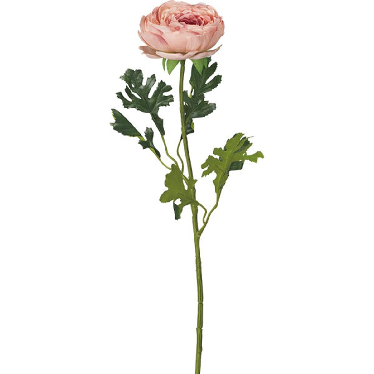 Qlフラワー ラナンキュラスro 1pcs 通販 ニトリネット 公式 家具 インテリア通販