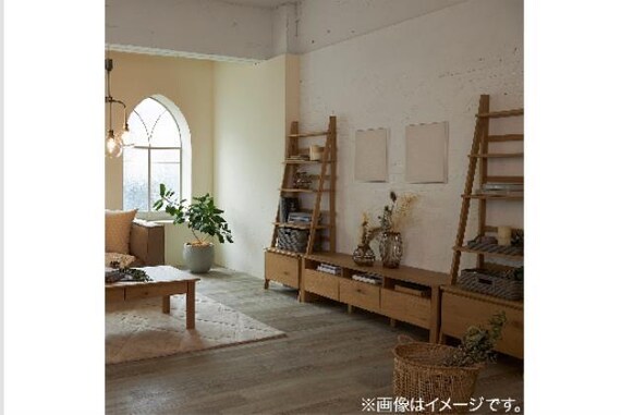 ﾛｰﾎﾞｰﾄﾞ 150 LBR AS002 6枚目画像