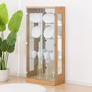 コレクションボード(セアS 60)