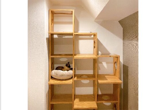 ﾍﾟｯﾄｼｪﾙﾌ ｺﾈｸﾄ LBR5ﾀﾞﾝ 7枚目画像