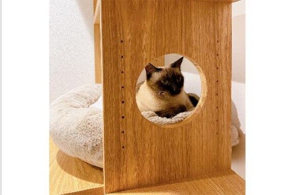 ﾍﾟｯﾄｼｪﾙﾌ ｺﾈｸﾄ LBR5ﾀﾞﾝ 8枚目画像