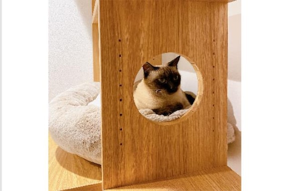 ペットシェルフ コネクト LBR5ダン 8枚目画像