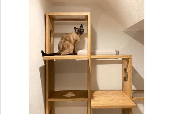 ペットシェルフ コネクト LBR5ダン 9枚目画像