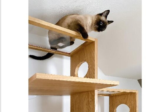 ﾍﾟｯﾄｼｪﾙﾌ ｺﾈｸﾄ LBR5ﾀﾞﾝ 10枚目画像