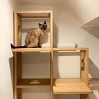 ペットアディショナルシェルフ(コネクト5段 LBR) 5枚目画像