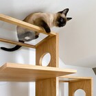 ペットアディショナルシェルフ(コネクト5段 LBR) 6枚目画像