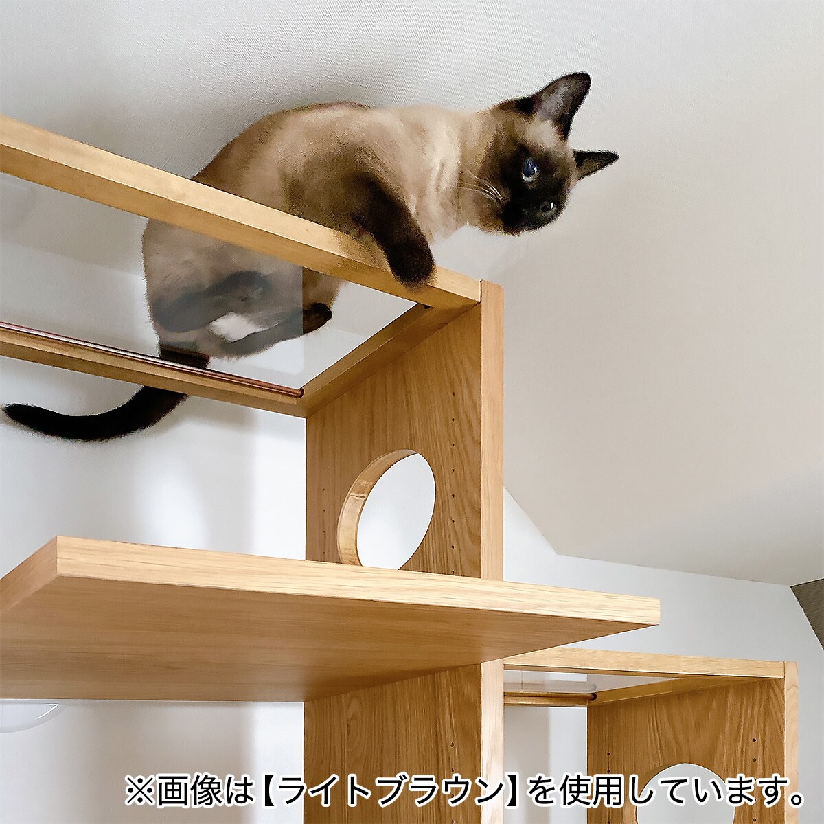 こち　ニトリ　タワーシェルフ①上部 こち ニトリ タワーシェルフ①上部 こち ニトリ タワーシェルフ①上部