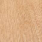 壁面ユニット(追加パーツ コネクト 2段用扉 LBR) 2枚目画像