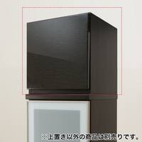 上置き (ポスティアN 40L BK)