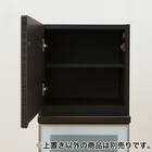 上置き (ポスティアN 40L BK) 2枚目画像