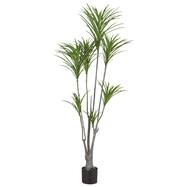観葉植物 インテリアグリーン通販 ニトリネット 公式 家具 インテリア通販