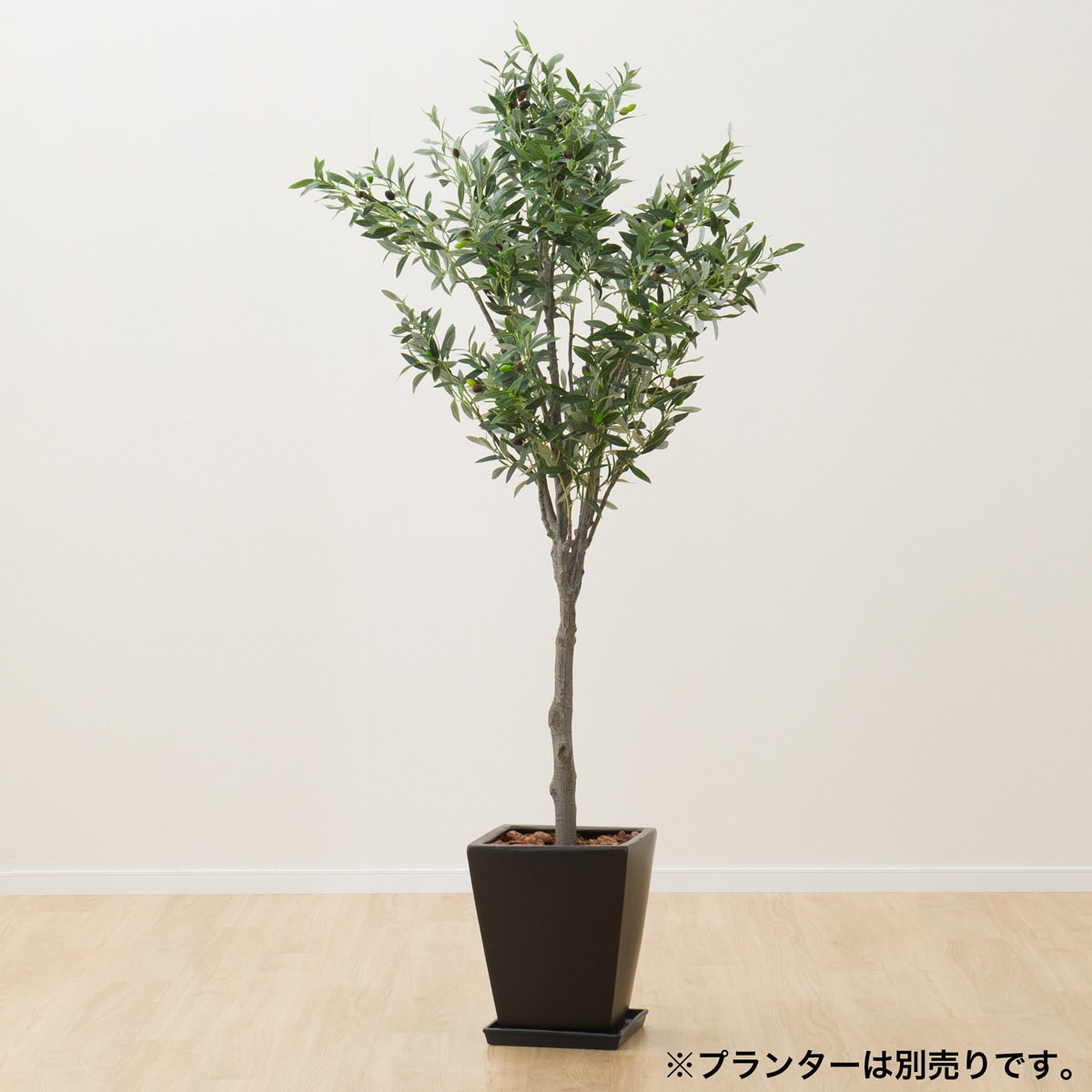 ニトリ観葉植物