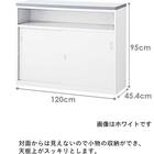 ハイカウンター(NSH-12UPW) 2枚目画像