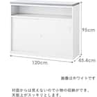 ハイカウンター(NSH-12UPW) 2枚目画像