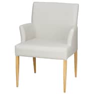 スチール脚チェア(NJK-3.2 肘付き)