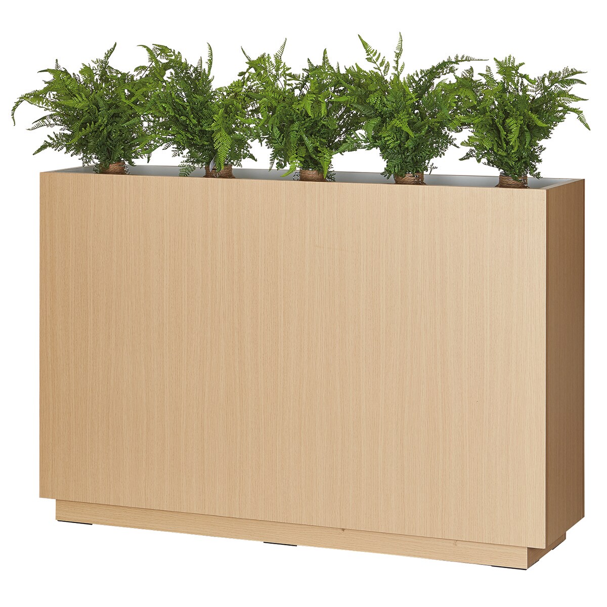 リビングトゥリー　フラワーエッセンス　木製ボックス(50本用) リビングトゥリー フラワーエッセンス 木製ボックス(50本用) 木箱