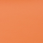 木製チェア(カトレア DBR/OR) 12枚目画像