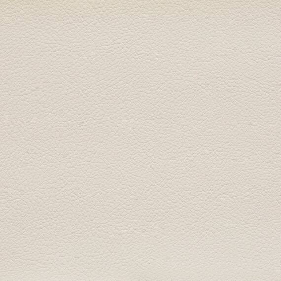 1人用合皮ソファ(カレル 肘付き A-80-270 IV) 2枚目画像