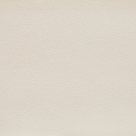 1人用合皮ソファ(カレル 肘付き A-80-270 IV) 2枚目画像