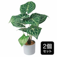 【セット販売】フェイクグリーン(高さ37cm クラリネルビウム GLA-1555)