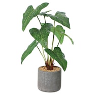 【単品・セット販売】フェイクグリーン(高さ41cm アンスリュームリーフ GLA-1557)