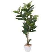 フェイクグリーン(高さ120cm ゴムの木 GLA)