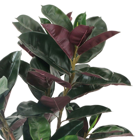 フェイクグリーン(高さ100cm フィカスバーガンディ GLP-1535) 2枚目画像