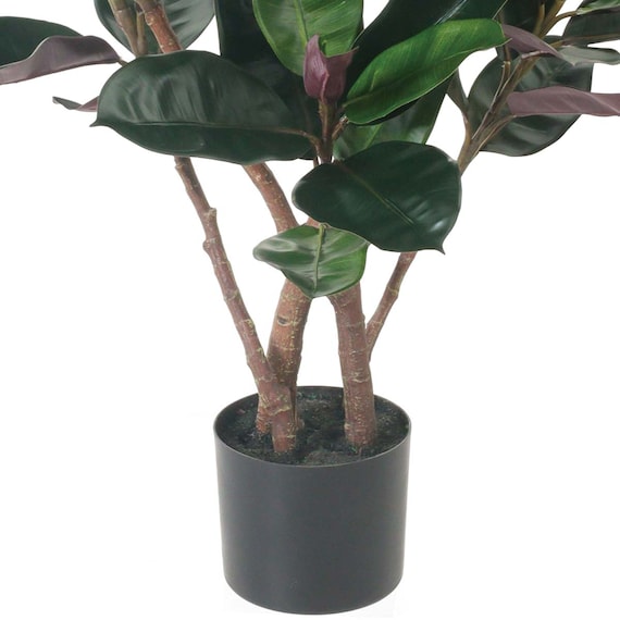 フェイクグリーン(高さ100cm フィカスバーガンディ GLP-1535) 3枚目画像