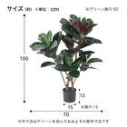 フェイクグリーン(高さ100cm フィカスバーガンディ GLP-1535) 4枚目画像