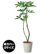 フェイクグリーン(高さ120cm パキラポット)