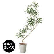 フェイクグリーン(高さ130cm シェフレラポット)