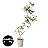 フェイクグリーン(高さ130cm シェフレラポット)