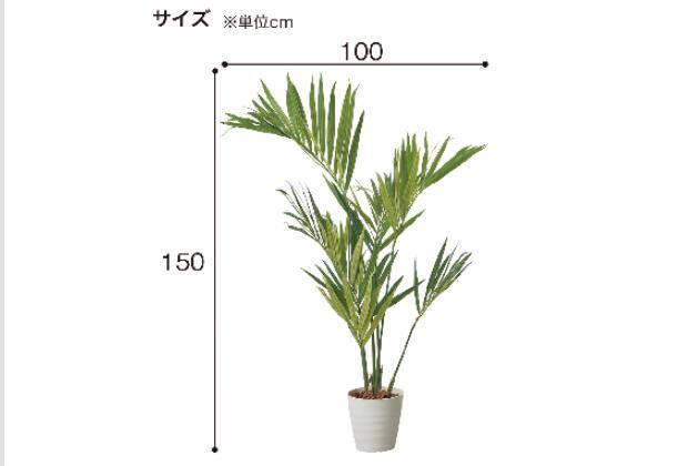 150CMｹﾝﾁｬﾔｼﾎﾟｯﾄ 1528BRL | ニトリネット【公式】 家具・インテリア通販