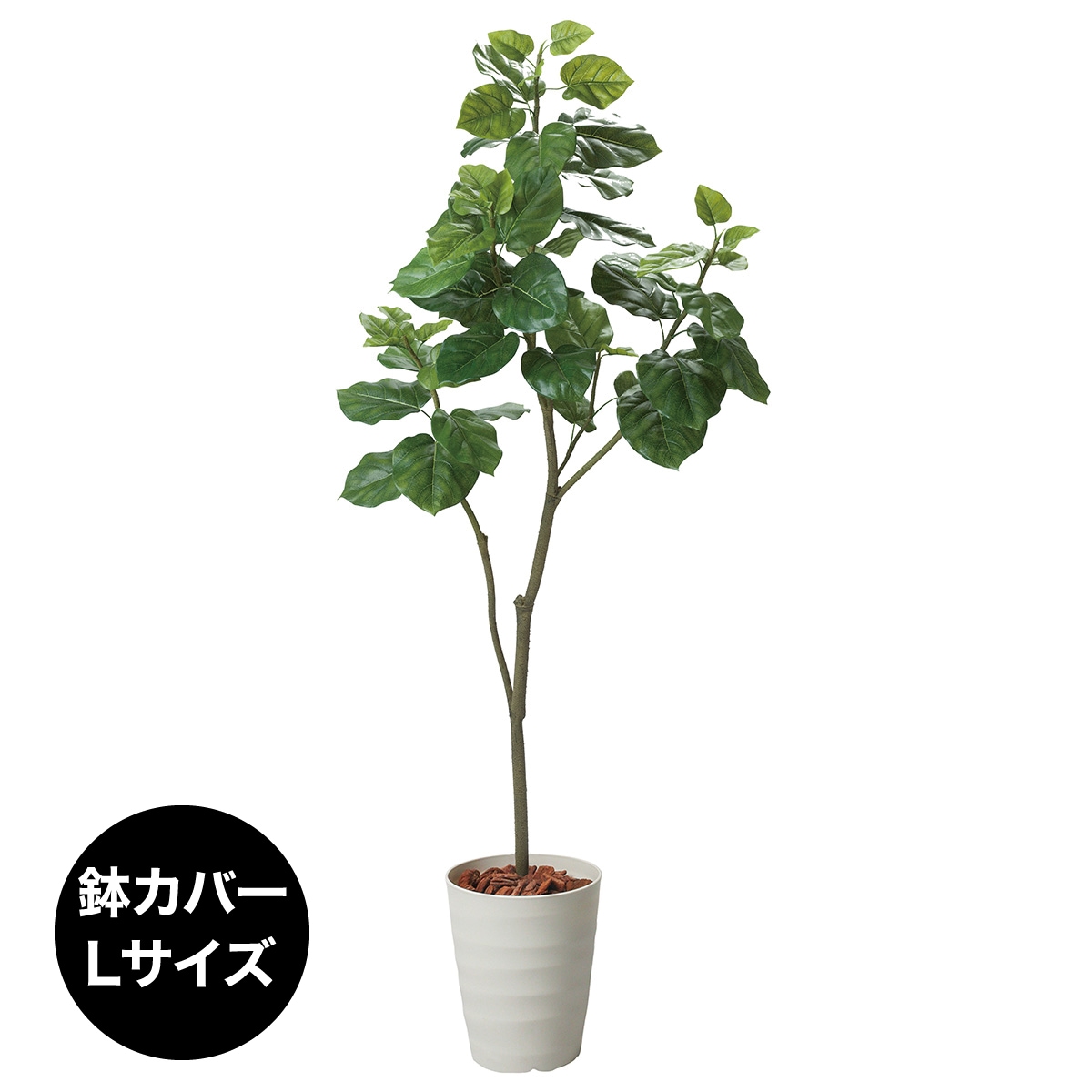 ニトリ フェイクグリーン ウンベラータ 180cm - 植物/観葉植物