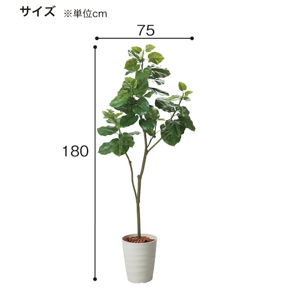 フェイクグリーン(高さ180cm ウンベラータポット 1498 BR) 4枚目画像