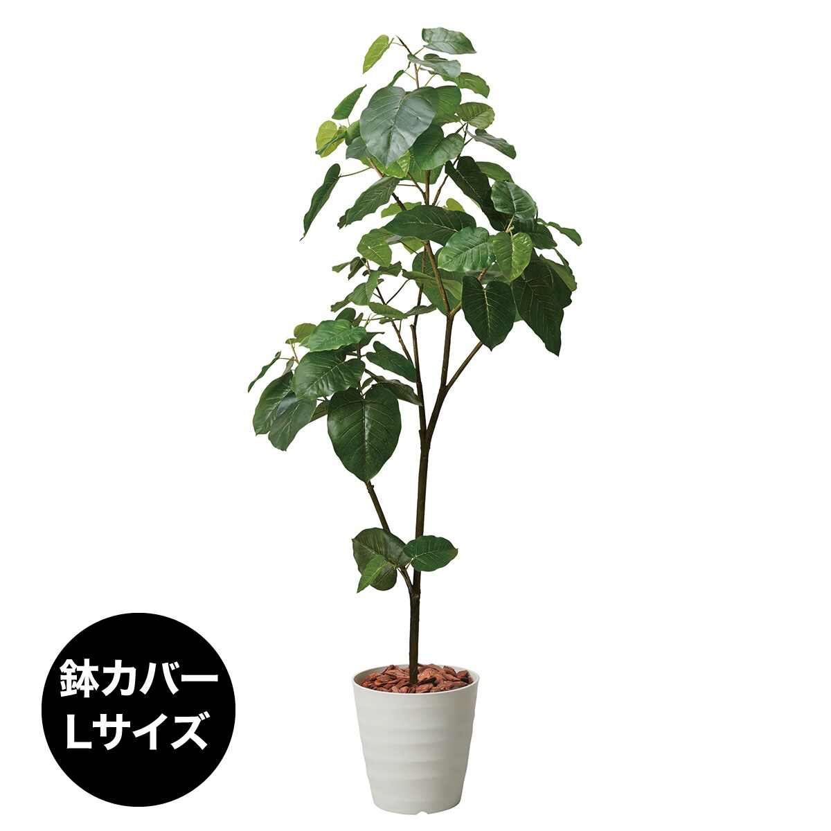 ニトリ フェイクグリーン ウンベラータ 120cm 鉢付き - インテリア雑貨/小物