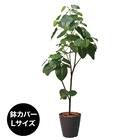 フェイクグリーン(高さ180cm ウンベラータポット 1512 BR) 1枚目画像