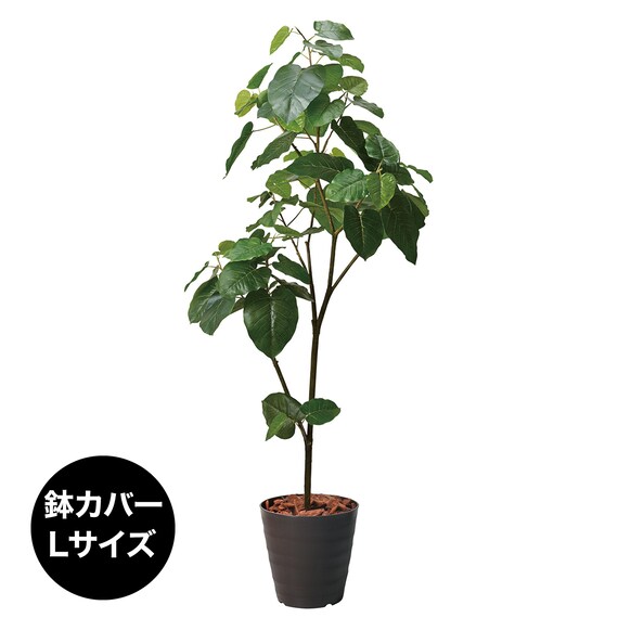 フェイクグリーン(高さ180cm ウンベラータポット 1512 BR) 1枚目画像