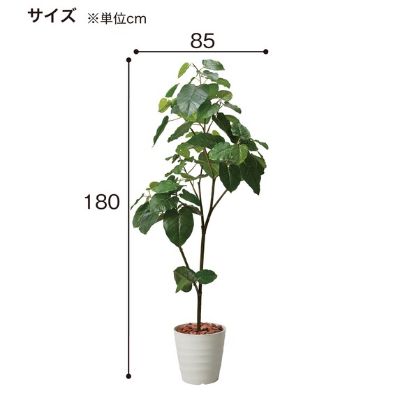 フェイクグリーン(高さ180cm ウンベラータポット 1512 BR) 4枚目画像