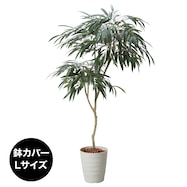 フェイクグリーン(高さ180cm ショウナンゴムポット)