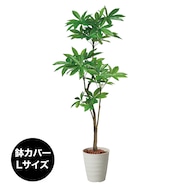 フェイクグリーン(高さ180cm パキラ)