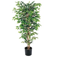 フェイクグリーン(高さ150cm・180cm ベンジャミンフィカス GLP)